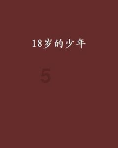 宝矿猎人